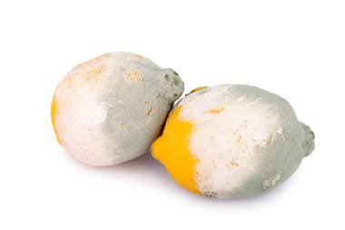 Beyaz arka plan üzerinde izole küflenmiş limon narenciye meyve