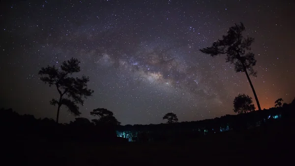 Silhouette d'arbre et belle voie lactée sur un ciel nocturne — Photo