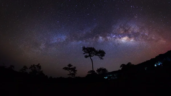 Panorama Silhouette d'arbre et belle voie lactée sur un ciel nocturne — Photo