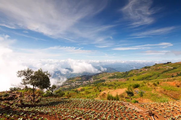 Beautiful mountain scenery in Phutabberk Phetchabun, Thailand — Stock Photo, Image