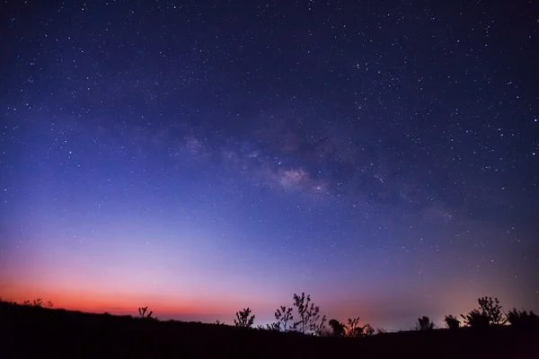 Ağaç ve bir gece gökyüzü üzerinde güzel milkyway silüeti. Uzun pozlama fotoğraf.