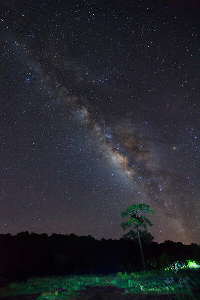 Силуэт дерева с облаком и красивой молочной дорогой в ночь
 
