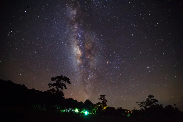 ツリーの夜空に美しいミルキーウェイ シルエット。長い e — ストック写真