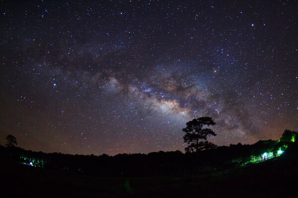 Силуэт дерева с облаком и Млечный Путь. Длительное фото
