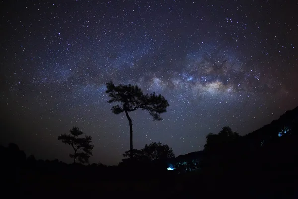 Silhouette of Tree with cloud and Milky Way. Long exposure photo — Stock Photo, Image