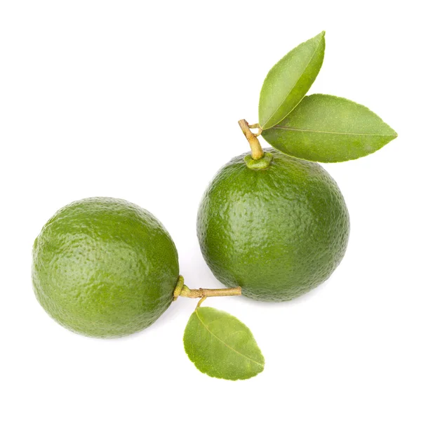 Citrus lime fruit isolated on white — Stock Photo, Image