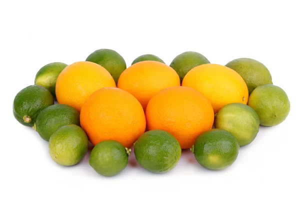 Fresh orange and citrus fruits — Stock Photo, Image