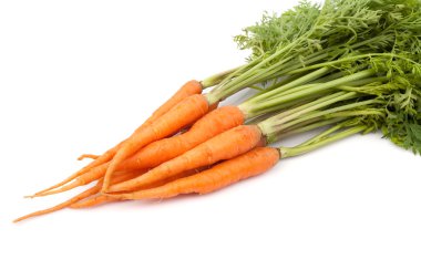 Beyaz arka planda taze havuç