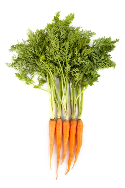 Zanahoria fresca sobre fondo blanco — Foto de Stock