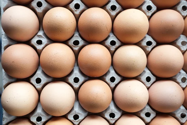 yumurta kağıt tepsisi