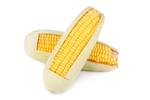 Sweet corn — Stock Photo, Image