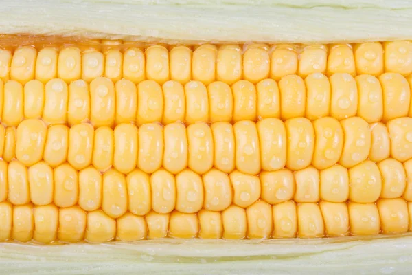 Ziarna kukurydzy dojrzałe z kropli wody — Zdjęcie stockowe