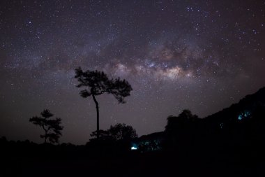 Ağaç ve Samanyolu silüeti. Uzun pozlama fotoğraf.