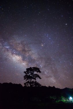 Ağaç ve Samanyolu silüeti bulut ile
