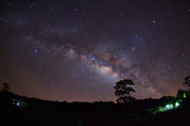 Ağaç silüeti bulut ve Samanyolu. Uzun pozlama fotoğraf