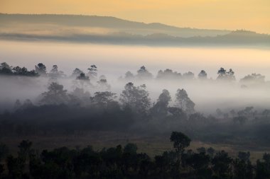 misty morning sunrise in mountain at Thung Salang Luang National clipart