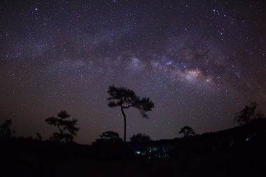 Ağaç silüeti bulut ve Samanyolu. Uzun pozlama fotoğraf