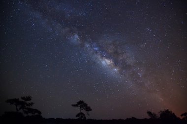 Silhouette of Tree with cloud and Milky Way. Long exposure photograph clipart