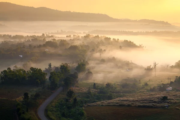 Misty morning sunrise in mountain at Khao-kho Phetchabun,Thailand — Stock Photo, Image