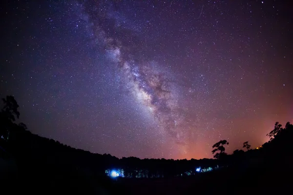Silhouette de Tree and Milky Way. Photographie longue exposition . — Photo