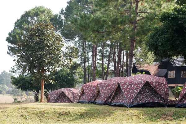 Barraca de cúpula camping no Thung Salang Luang National Park Phetchabun — Fotografia de Stock