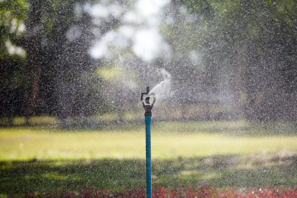 Vatten sprinkler i trädgården — Stockfoto