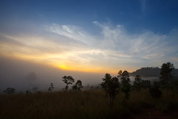 Nebliger morgendlicher Sonnenaufgang in den Bergen am Thung Salang Luang National — Stockfoto