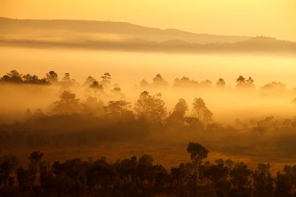 Ködös reggel a napkelte: Thung Salang Luang nemzeti hegy — Stock Fotó
