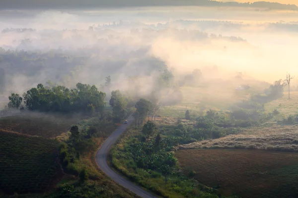 Misty morning sunrise in mountain at Khao-kho Phetchabun,Thailand — Stock Photo, Image