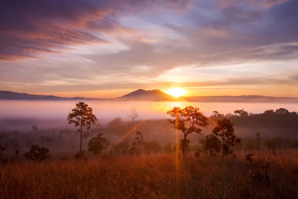 Ködös reggel napfelkeltét a hegyről a Thung Salang Luang Nemzeti Park Phetchabun, Thaiföld — Stock Fotó
