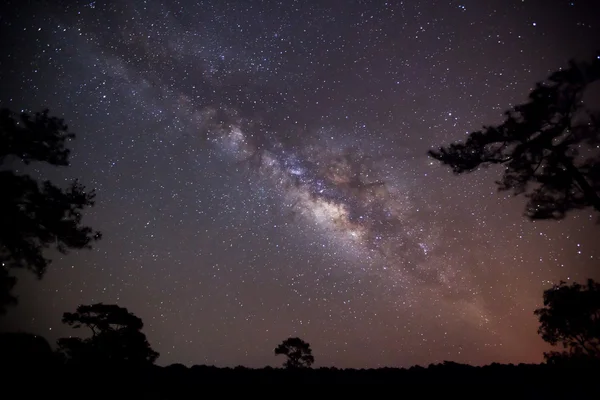 Silhouette de Tree and Milky Way. Photographie longue exposition . — Photo