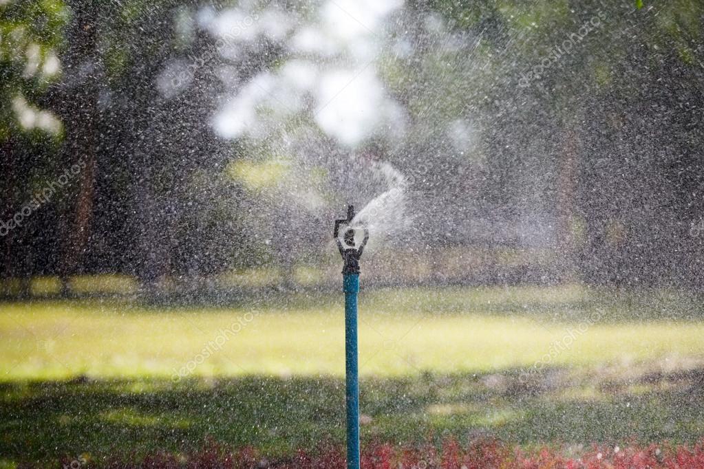 Wasser Sprinkler Im Garten Stockfoto C Sripfoto 80735860
