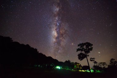Ağaç silüeti bulut ve Samanyolu. Uzun pozlama fotoğraf.