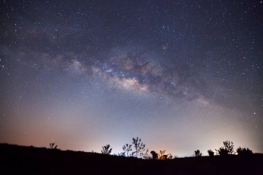 Silhouette ağaç ve Samanyolu, uzun pozlama fotoğraf