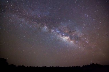 Silhouette ağaç ve Samanyolu, uzun pozlama fotoğraf