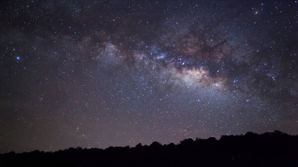 Silhouette of Tree and Milky Way with clou