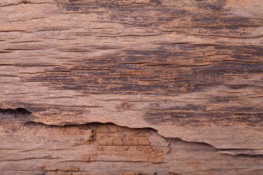 Ahşap doku arkaplanını kapat