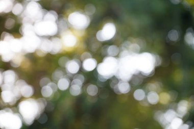 Dairesel bokeh arka plan aydınlık