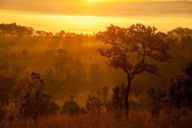Puslu sabah gündoğumu dağ, Mulk Salang Luang Milli Parkı: Phetchabun, Thailand