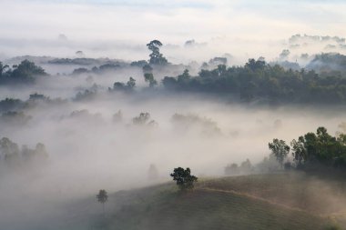 puslu sabah sunrise Dağı'nda Khao-kho: Phetchabun, Thailand