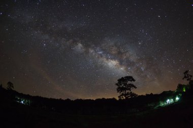 Ağacın Silueti ve Samanyolu Phu Hin Rong Kla Ulusal Parkı, Phitsanulok Tayland