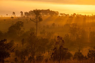 Puslu sabah gündoğumu dağ, Mulk Salang Luang Milli Parkı: Phetchabun, Thailand