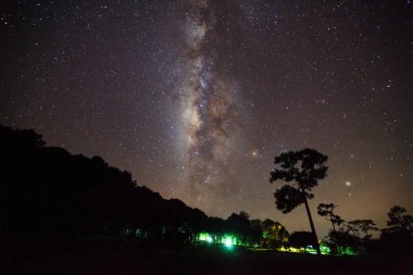 Phitsanulok Tayland 'daki Phu Hin Rong Kla Milli Parkı' ndaki orman üzerinde Samanyolu.