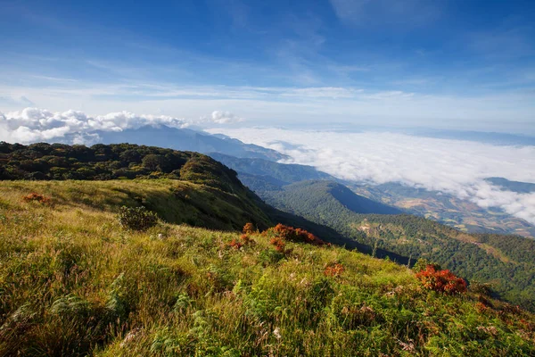 Sis Dağı'nda Doi Inthanon Milli Parkı, Tayland üzerinden