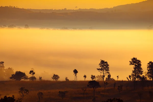 Nebliger Sonnenaufgang am Morgen im Thung Salang Luang Nationalpark — Stockfoto