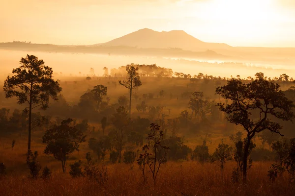 Nebliger Sonnenaufgang am Morgen im thung salang luang Nationalpark phetchabun, thailan — Stockfoto