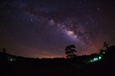 Ağaç ve Samanyolu silüeti bulut, uzun pozlama fotoğraf ile