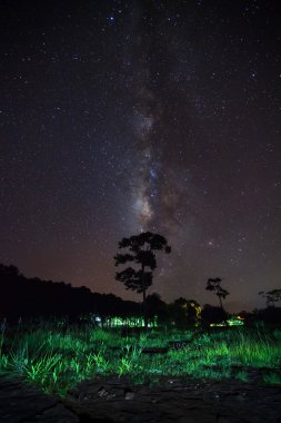 Ağaç ve Samanyolu silüeti bulut, uzun pozlama fotoğraf ile