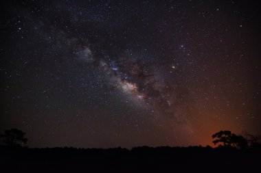 Silhouette of tree and milky way, Long exposure photograph clipart
