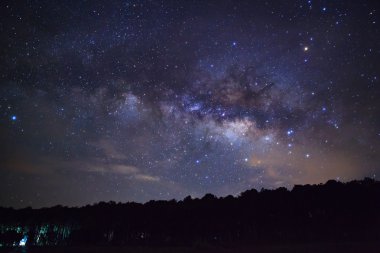 Ağaç silüeti bulut ve Samanyolu. Uzun pozlama fotoğraf